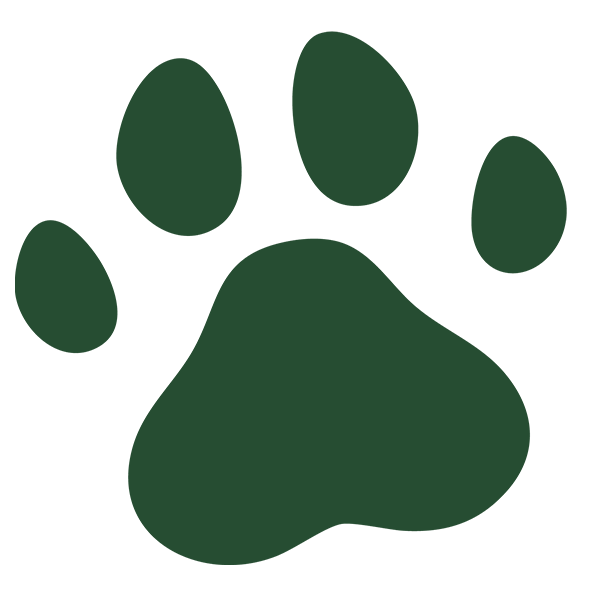 Dog Cachorro, Petshop Sítio dos Bichos Veterinário